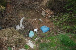 Ljubno_čistilna_2018 (3)